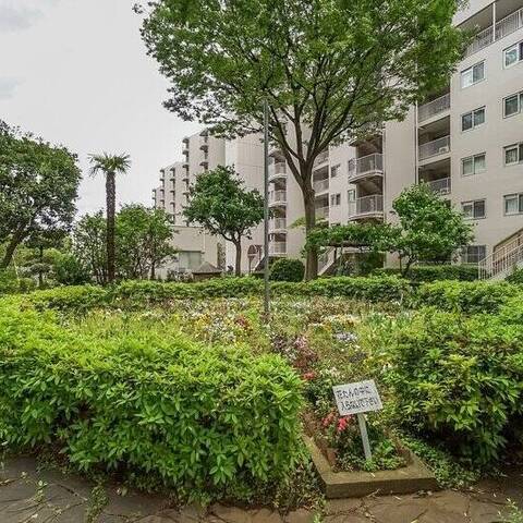 大倉山ハイム2号棟の建物・共用部写真
