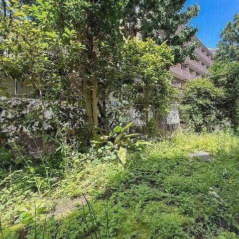 クレール八幡山の眺望・バルコニー写真