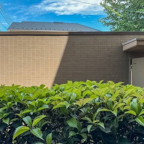 石神井公園南パーク・ホームズの眺望・バルコニー写真