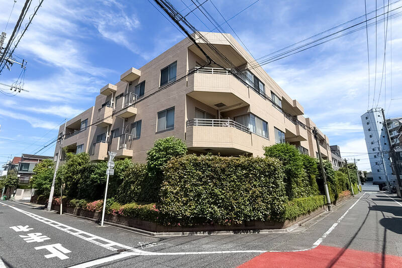 2000年築、総戸数30戸、地上3階建の低層マンション。適宜必要なメンテナンスが行われており、きれいに整備されている印象です。