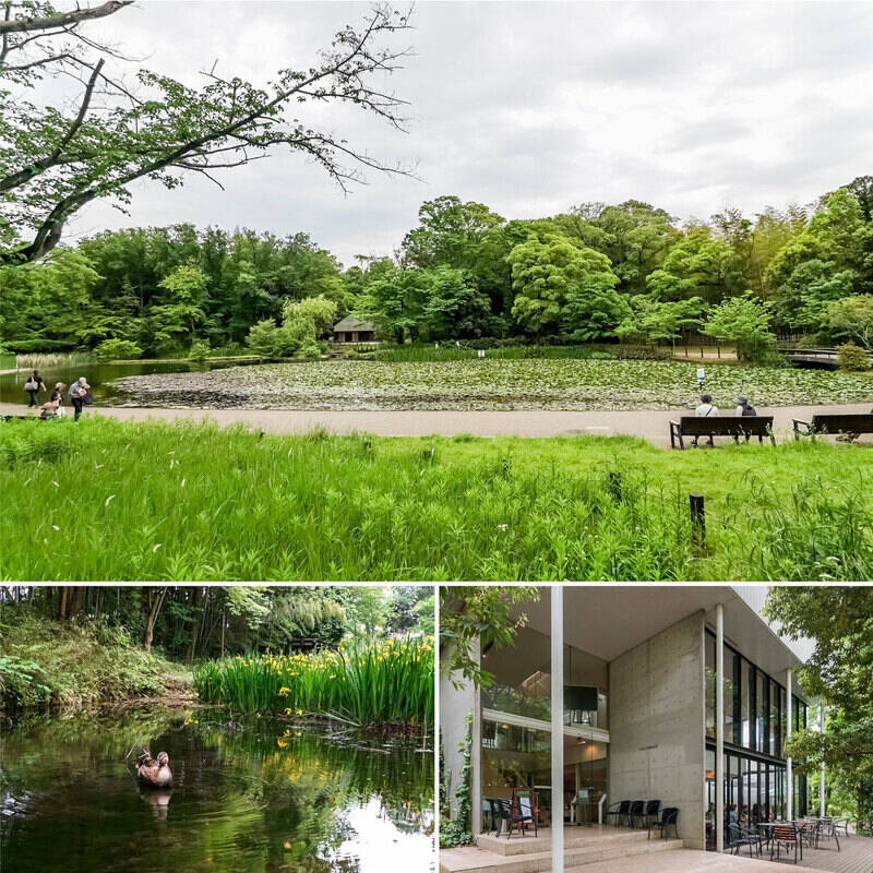 駅から徒歩3分の「せせらぎ公園」。大きな池や豊かな緑、古民家などもあり、近隣に住んでいる方の憩いの場になっています。取材時、池にはかわいらしいカモが佇んでいました。公園内にはイタリア料理店「FRESCO（フレスコ）」もあります。