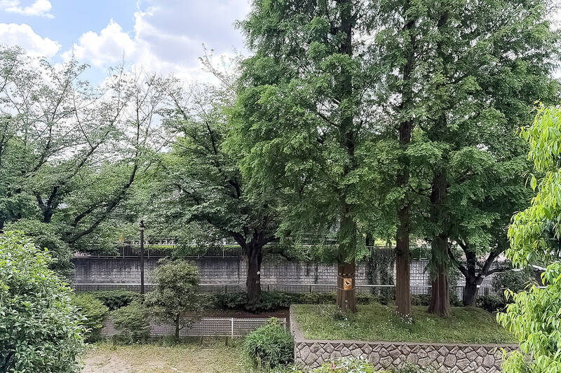 目の前には大きく育った木々と石神井川。残念ながら水面は見えませんが、爽やかな空気は存分に感じられます。