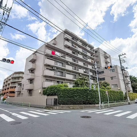 石神井公園パークハイツの建物・共用部写真
