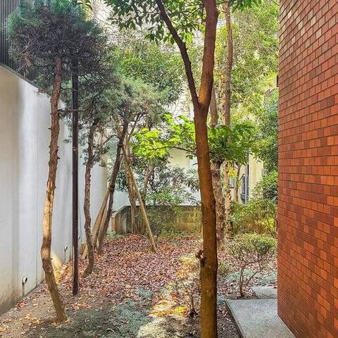 ライオンズマンション一番町の眺望・バルコニー写真