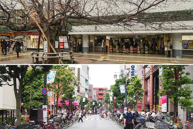 <b>上・</b>最寄りの京王線「仙川」駅には、駅直結の商業施設「フレンテ仙川」（徒歩14分）やスーパー「京王ストア 仙川駅ビル」（徒歩14分）などがあって便利そう◎ 駅周辺には飲食店や衣料品店、ホームセンターなどがありますよ。／<b>下・</b>「千歳烏山」駅を中心に南北に広がる、活気溢れる「烏山商店街」（徒歩14分）。さまざまなお店が建ち並び、日用品はこちらでも揃いそうです。
