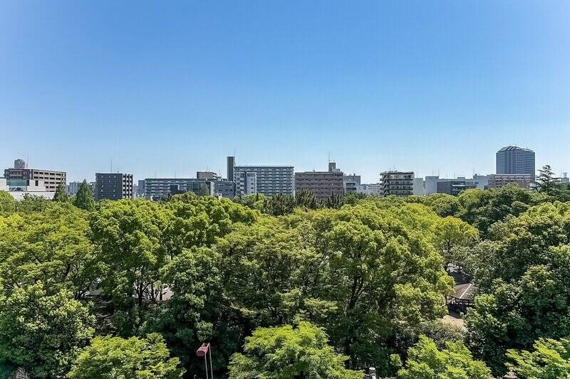 ……と思わず心で叫ばずにはいられない緑、緑、緑！ そして広い空!! 建物たちが一直線に顔を覗かせているのも何ともイイです。