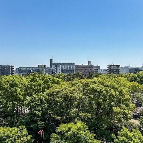 クレスト木場公園の眺望・バルコニー写真