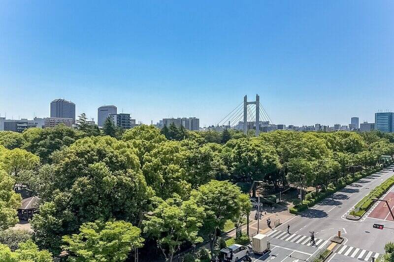 バルコニーの端から南側を眺めたときのビュー。「木場公園大橋」が見えて胸キュン。そしてご覧ください、横断歩道の位置を。本当に公園入り口が目と鼻の先にあるのです。
