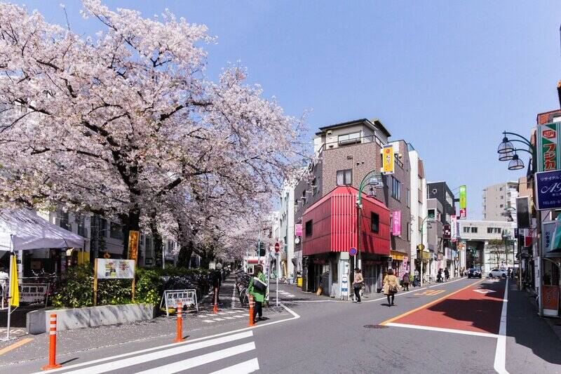 春には桜が美しい「呑川本流緑道」までは徒歩5分。駅から緑道を通り、四季の移ろいを感じながら帰る道のりも楽しめそうです。