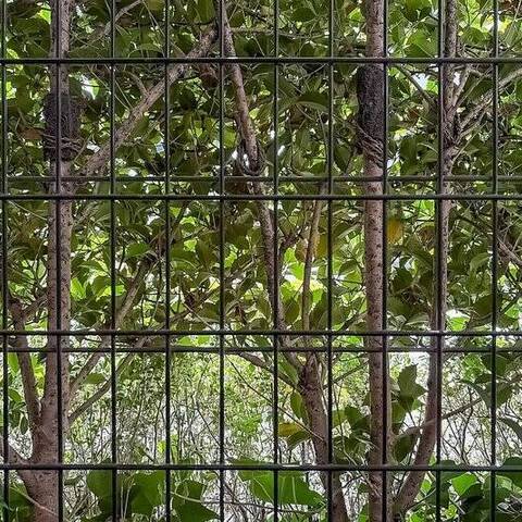 パルテール小石川五丁目の眺望・バルコニー写真