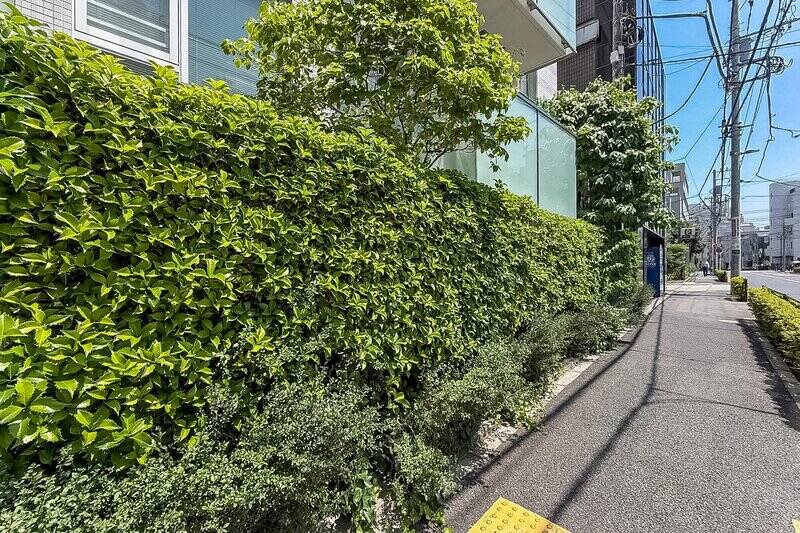 こちらは、マンション前面の道路から住戸を見たカット。しっかりと植栽に覆われていて、視線を遮ってくれています。