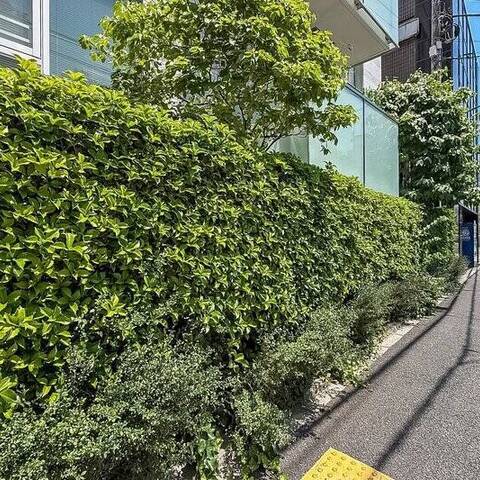 パルテール小石川五丁目の建物・共用部写真