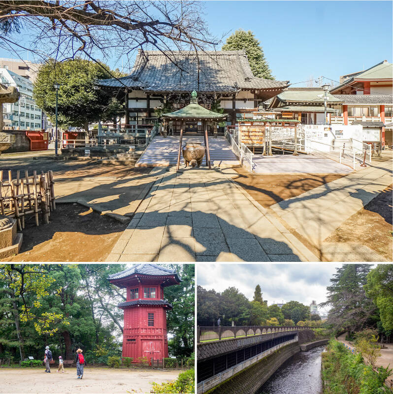 <b>上・</b>この街を代表する寺院「新井薬師梅照院」。毎月8のつく日に「八の市」と呼ばれる縁日が開催されています。(徒歩13分)/<b>左上・</b>哲学者・井上円了氏によって創設された「哲学堂公園」。哲学や社会教育の場として整備された公園です。哲学の世界が視覚的に表現されています。(徒歩3分)/<b>右下・</b>そのすぐそばには「妙正寺川」が。遊歩道をのんびりと歩いているだけで気持ちよさそう。(徒歩3分)