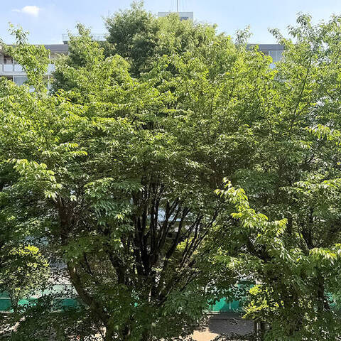 アールヴェール三鷹下連雀の室内写真