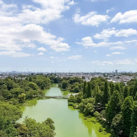 メゾン井の頭の眺望・バルコニー写真