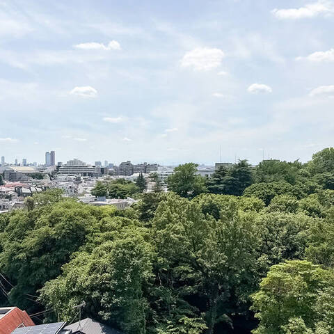 モデルノトッレ松濤の室内写真
