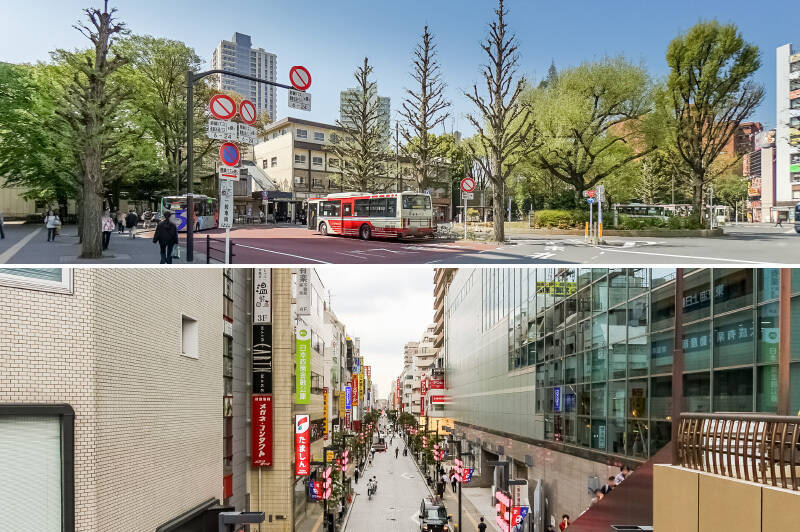 太宰治をはじめ、多くの文化人に愛された街「三鷹」。駅周辺には、「井の頭公園」方面へ続く緑豊かな遊歩道や、「三鷹中央通り商店会」が広がっています。自然をそばに感じながら、利便性も享受できる住環境です。