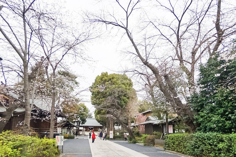 今回ご紹介するマンションから、“世田谷線エリア” の象徴とも言える「松陰神社」までは徒歩9分。緑に包まれた境内は歩くだけでも清々しい気持ちになれますよ。