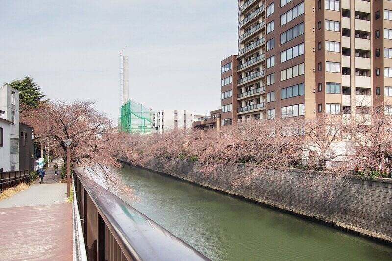 最寄り駅は、JR山手線をはじめ4路線が乗り入れる「目黒」。ご紹介するマンションは駅から目黒川を渡って徒歩7分、都会の賑わいと自然の癒やしが交差するロケーションです。