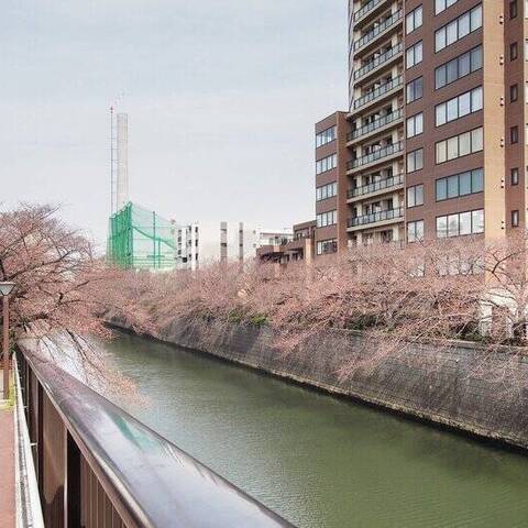 グランドメゾン目黒南の室内写真