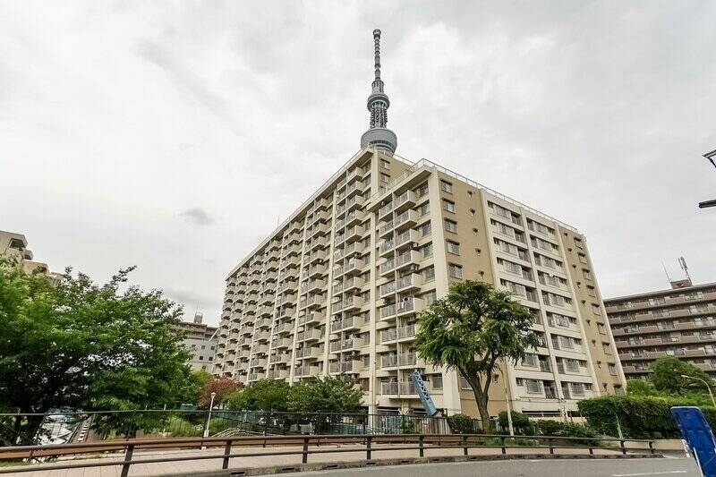 緑道公園沿いに建つ、1972年竣工・総戸数362戸のビッグコミュニティ。建物の背面からは、ドーンと「東京スカイツリー」が！