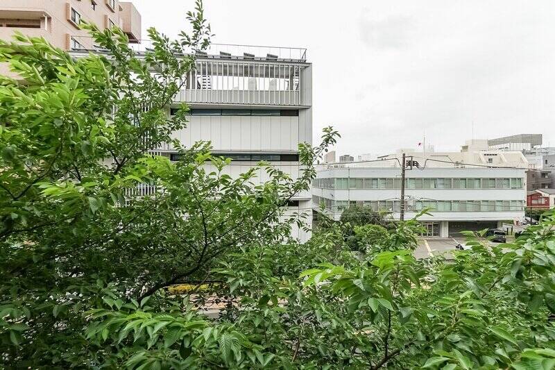 3階ならではの、グリーンに包まれた景色。目の前の通りは車や人の往来がありますが、植栽がほどよく視線を和らげてくれます。