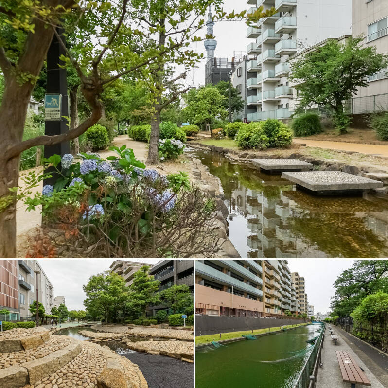 「東京スカイツリー」を望む「大横川親水公園」は、「錦糸町」からスカイツリー周辺まで南北約1.8kmにわたって続く緑道公園。じゃぶじゃぶ水路のある「河童川原ゾーン」（左下）や、釣り堀を楽しめる「釣川原ゾーン」（右下、2026年からリニューアル工事予定）などがあり、地域の方々に親しまれています。（徒歩2分）