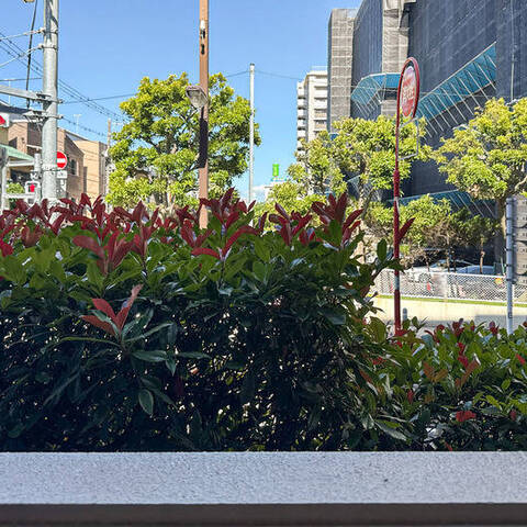 サンクタス大島EXの室内写真