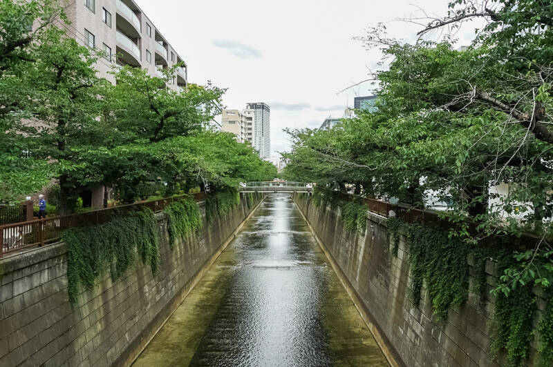今回ご紹介するのは、春には桜が咲き誇る「目黒川」沿いに建つマンションの一室。川沿いには、洗練されたカフェやアパレルショップなどが建ち並び、街歩きも楽しめます。