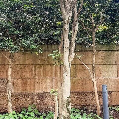 代々木パークマンションの室内写真