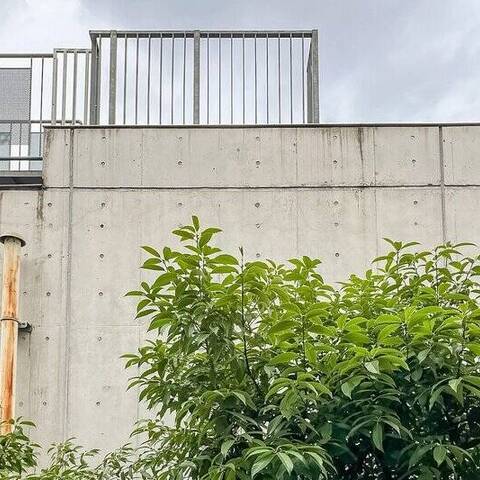 南平台ハウスの室内写真