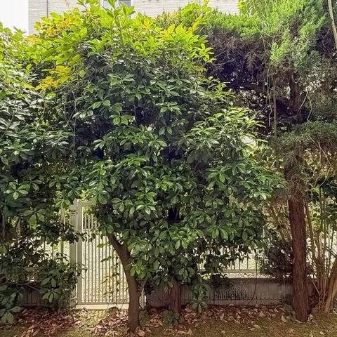 幡ヶ谷ハウスの眺望・バルコニー写真