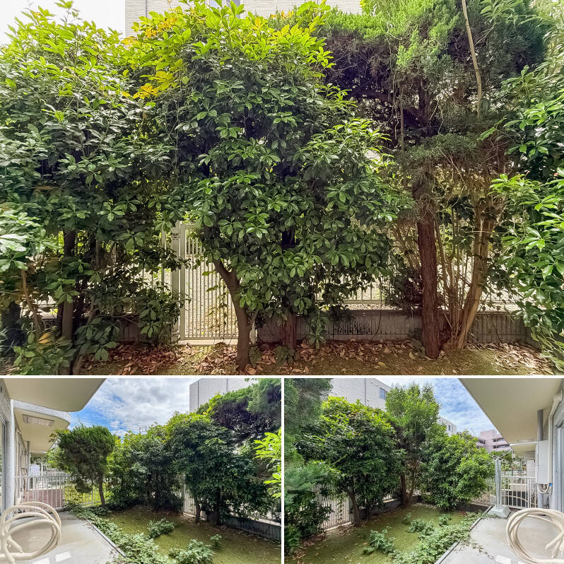 正面には植栽が広がるグリーンビュー。隣戸からの視線はやや気になるかもしれません。