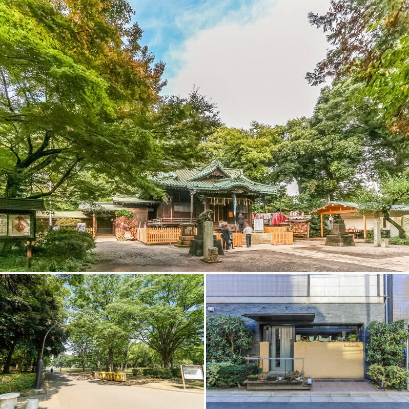 <b>上・</b>徒歩4分の場所に位置する「代々木八幡宮」は、都会の中心にありながら一歩足を踏み入れると豊かな緑に包まれる、歴史あるパワースポット。凛とした空気が漂う境内は、日々の喧騒から離れて静かに心を整えるのにぴったりの場所です。／<b>左下・</b>「代々木公園」は、広大なドッグランや豊かな緑を備えた、愛犬との暮らしにはうれしいスポット。（徒歩9分）／<b>右下・</b>「Les Chanterelles（シャントレル）」は、洗練された空間で、店名にもあるキノコを主役にした奥深いフレンチを堪能できる名店。家族の記念日や週末のご褒美ディナーに、特別感あふれる一皿と上質なワインに酔いしれる至福のひとときを愉しめます。（徒歩5分）