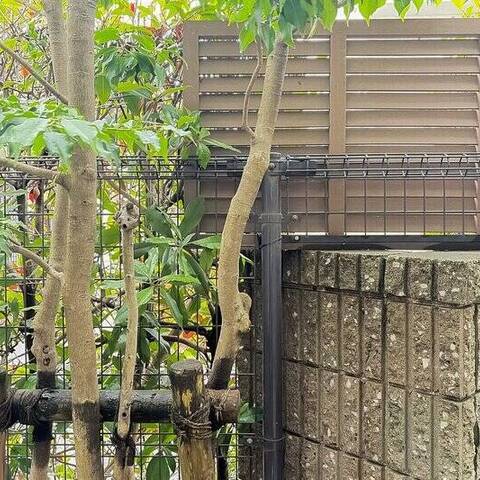 インペリアル表参道の室内写真
