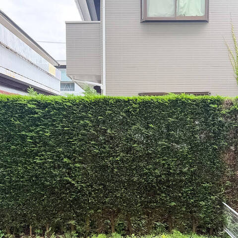 パーク・ハイム桜新町の室内写真
