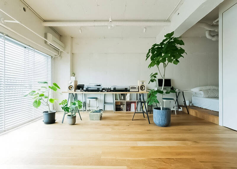 白を基調とした内装に、無垢調フローリングと躯体現し天井が軽やかな表情をプラス。ウッドやモノトーンのインテリア、グリーンがよく似合いそうです。