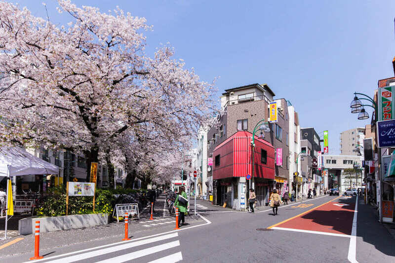 駅から100mも歩けばぶつかる「呑川本流緑道」。春には満開の桜がトンネルをつくります。（徒歩2分）