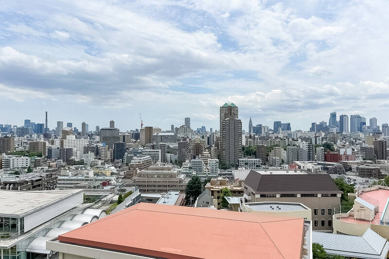 左手に「六本木」方面のビル群、右手に「新宿」方面のビル群まで見渡せる爽快な眺め。眼下には目白通りを挟んでお向かいにある「日本女子大学附属 豊明小学校」の敷地が見えます。