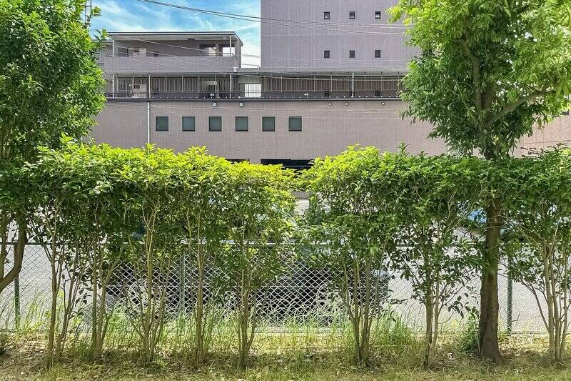 目の前にはマンションの植栽があり、その先には駐車場とマンションが見えます。大通り側に比べると、人や車の往来は少なそうです。