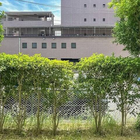 東大島ハイライズの眺望・バルコニー写真