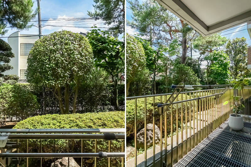 マンションの植栽が視界いっぱいに広がる眺め。1階ですが、豊かな緑が目隠しとなり、道路からの視線も気になりにくそうです。