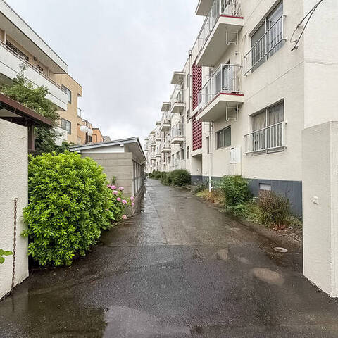 上馬マンションの建物・共用部写真