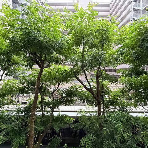 ライオンズマンション大森の室内写真