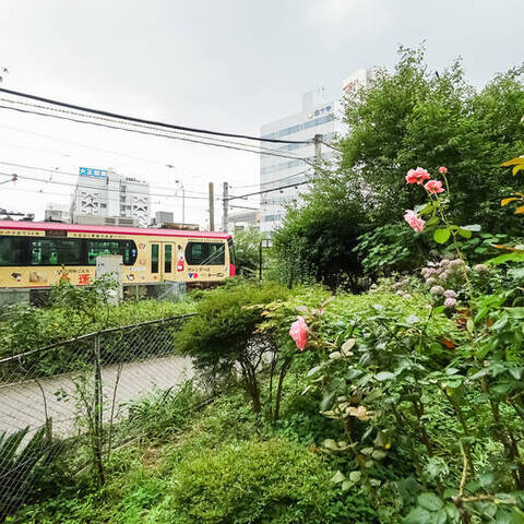 ニューライフ西早稲田の建物・共用部写真