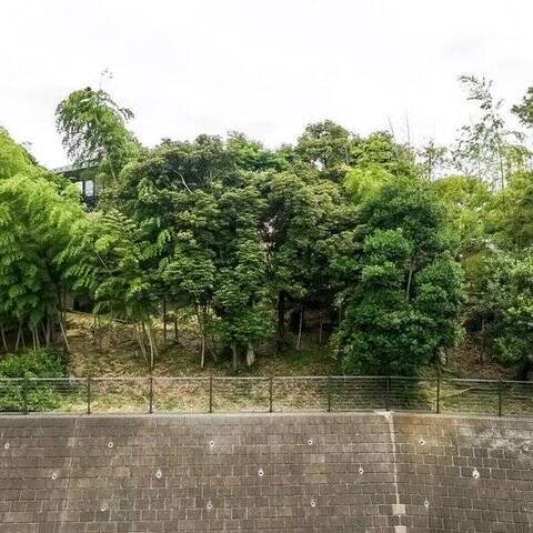 横浜東寺尾パークホームズの眺望・バルコニー写真