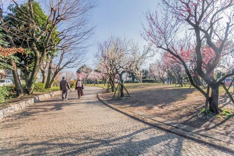 少し足を伸ばせば、梅の名所として有名な「羽根木公園」が。梅の花が香る季節も、新緑が揺れる季節も、散歩やピクニックを楽しみながら、気軽に自然を感じられますよ。（徒歩7分）