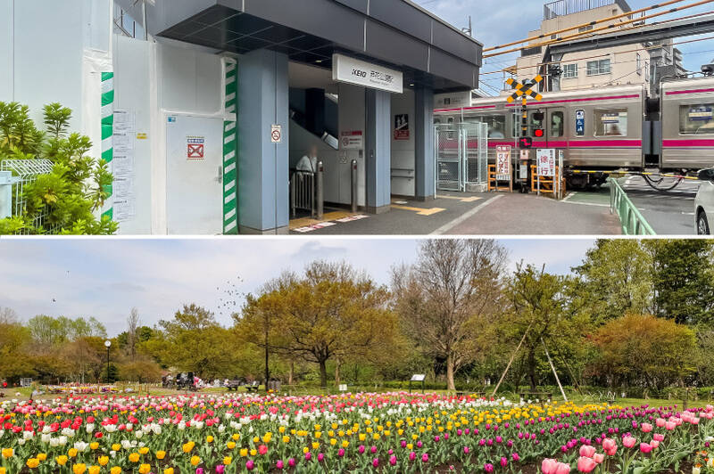 “芦花公園エリア” は、落ち着いた住宅街が広がり、都心の喧騒から離れたのどかな雰囲気が漂う穏やかな住環境。マンションから少し足を延ばした先にある「蘆花恒春園」（写真下）は、豊かな緑に癒やされる心地よいスポットです。ドッグランもあるので、愛犬との暮らしも楽しくなりそう♪<p><br></p><p>■ 最寄り：京王線「芦花公園」駅（徒歩5分）</p><p>■ アクセス：「新宿」駅へ乗車約21分でダイレクトアクセス</p>