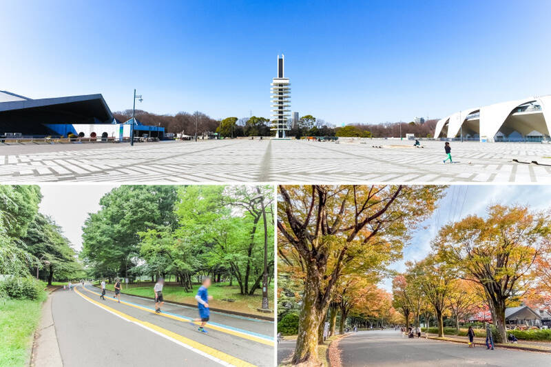 約41万㎡もの広大な敷地を誇る「駒沢オリンピック公園」。ご紹介する物件に住んだら、毎朝のジョギングが日課になるかも！ 園内には陸上競技場や野球場、体育館、トレーニングルームのほか、レストラン、ドッグランなどもそろい、スポーツから休日のリフレッシュまで幅広く楽しめます。