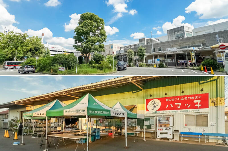 <b>上・</b>穏やかな街並みが広がる「藤が丘」エリア。駅周辺にはスーパーや飲食店、ドラッグストアなどが揃っています。/<b>下・</b>物件から徒歩4分の場所には、「JA横浜『ハマッ子』直売所 横浜青葉インター店」が。朝採れの新鮮な地元野菜や旬の果物が並び、普段のお買い物にちょっとした楽しみをプラスしてくれそう。<p><br></p><p>■ 最寄り:東急田園都市線「藤が丘」駅(徒歩12分)</p><p>■ アクセス:「渋谷」駅まで約42分</p>